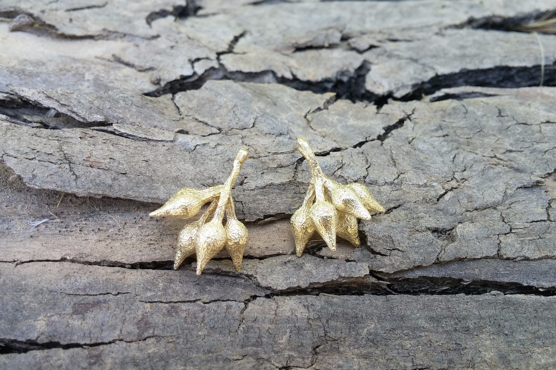 Eucalyptus fruit gold earrings - G Rubinstein Jewellery