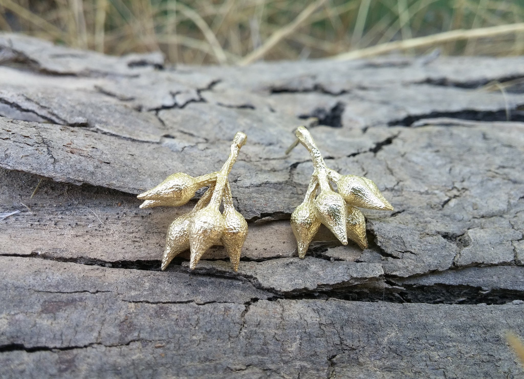 Eucalyptus fruit gold earrings - G Rubinstein Jewellery